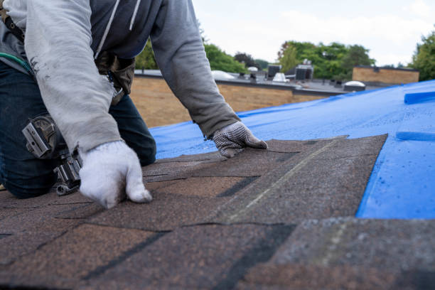 Quick and Trustworthy Emergency Roof Repair Services in Westville, IL
