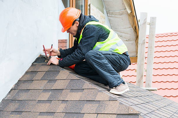 Best Metal Roofing Contractor  in Westvle, IL