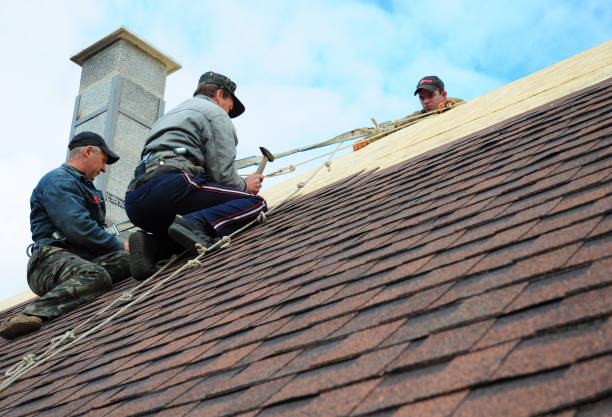 Best Residential Roofing Contractor  in Westvle, IL
